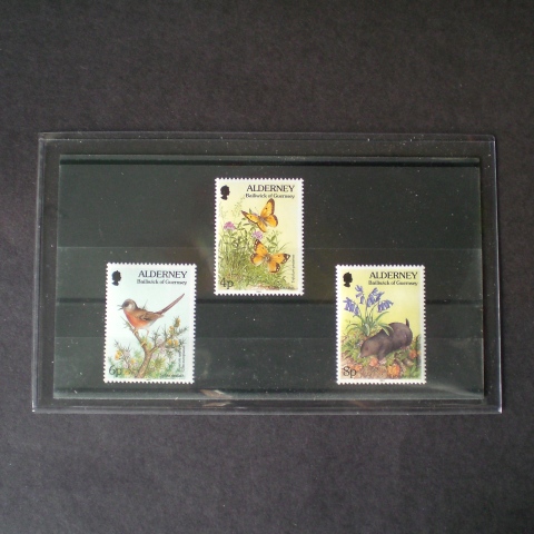 Standardweight Approval Card Holders (10)
